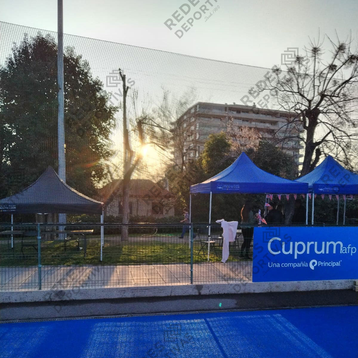 Redes ⬛️ Negras Cuadro 3 x 3 cm | Perimetrales y Cortinas de Separación